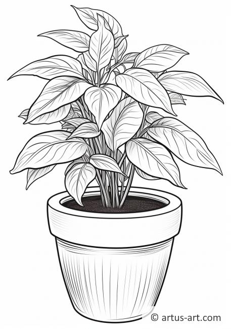 Basil in a Pot Coloring Page